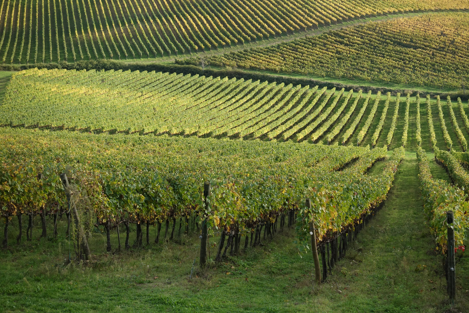 oggi autunno in Toscana