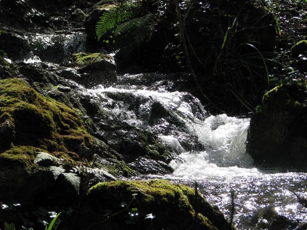 Oggi in montagna: allegra quiete.