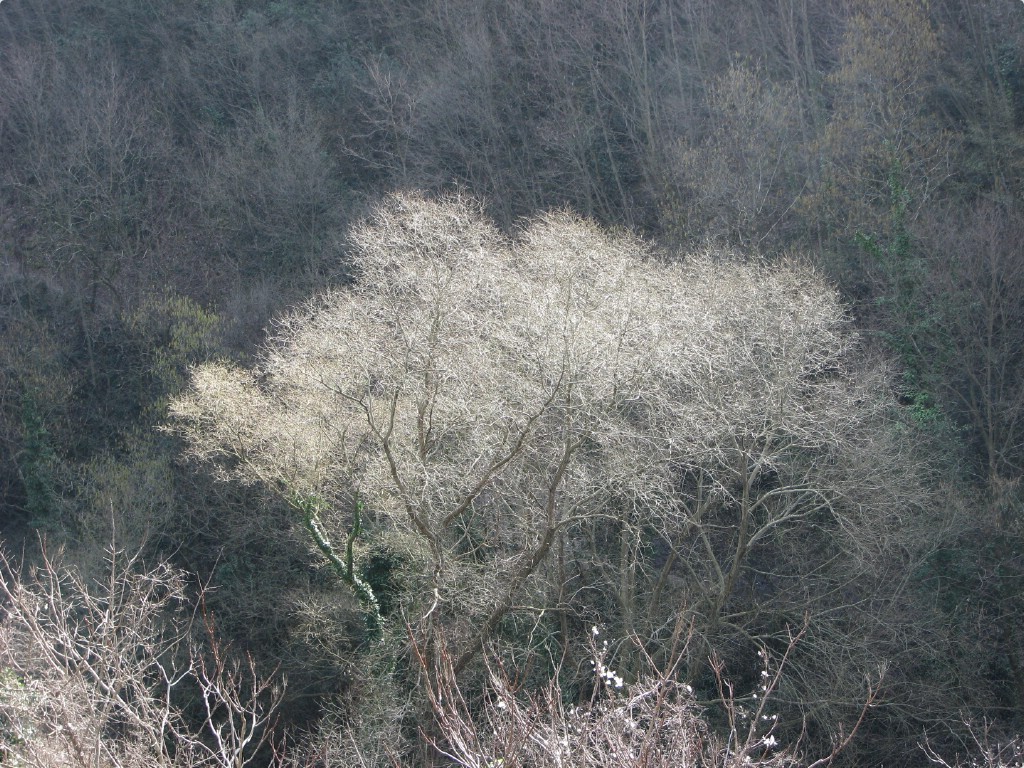 Oggi in montagna