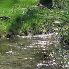 Oggi in montagna: vedo (e sento) che la primavera è vicina.