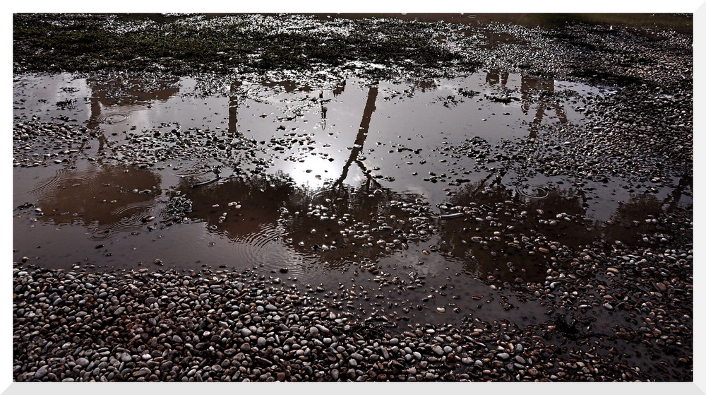 Oggi piove