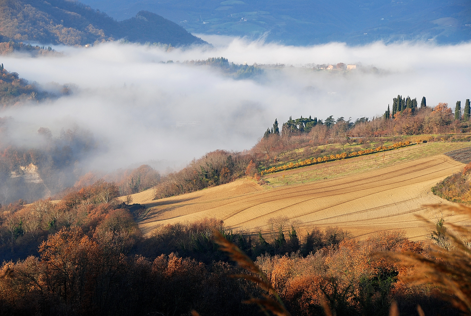 oggi..24 dicembre..