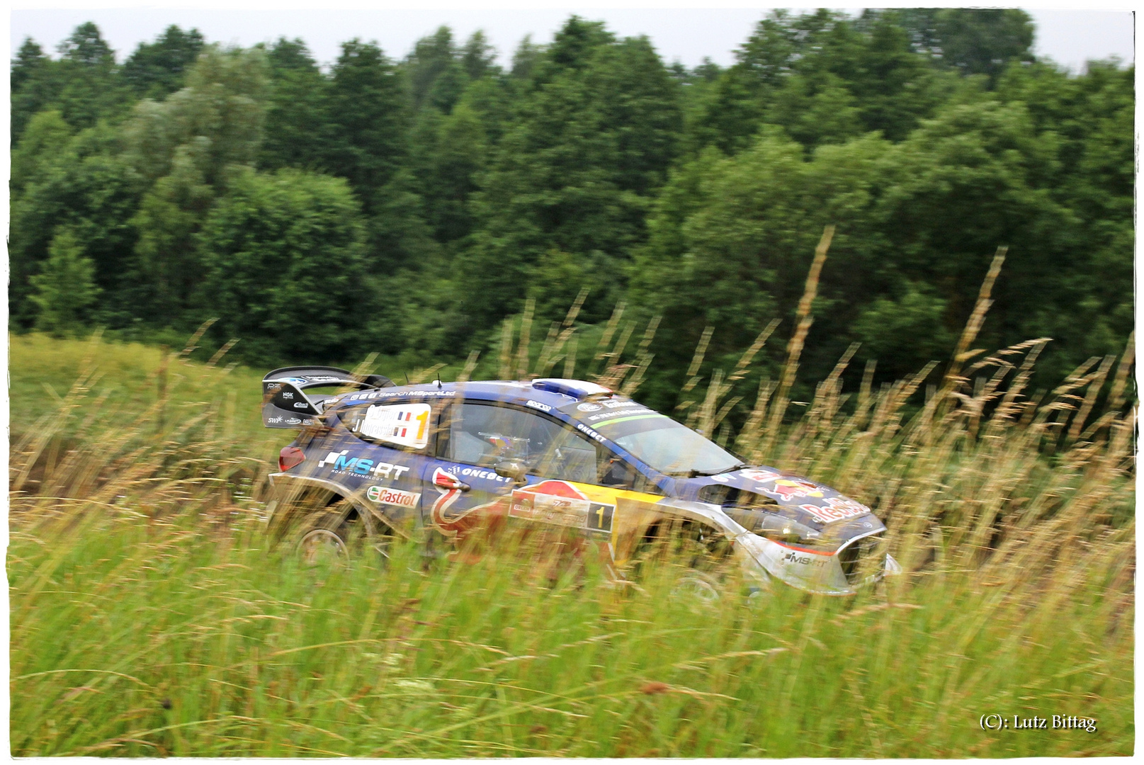 Ogier hinter Gras