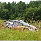 Ogier hinter Gras