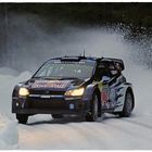 Ogier im Schnee