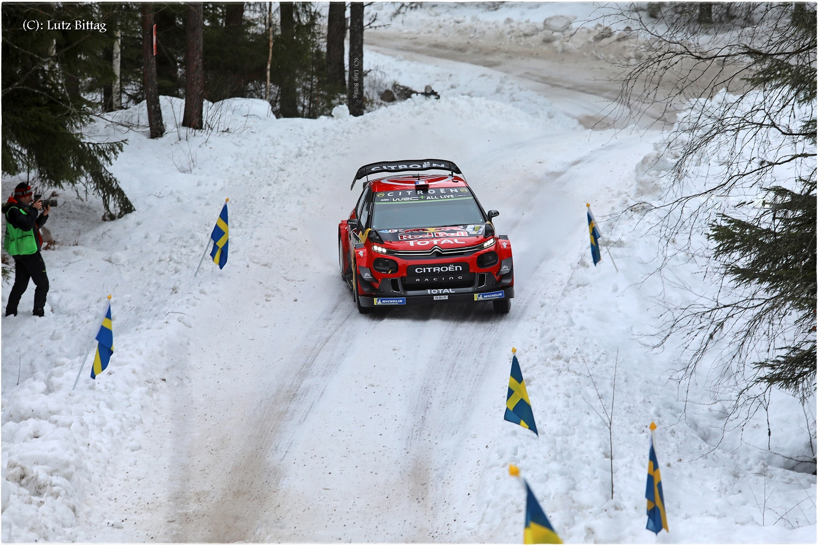 Ogier im Schnee