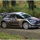 Ogier in Wales