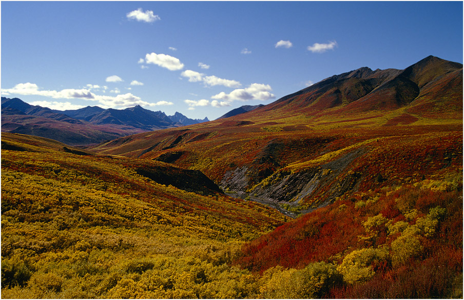 Ogilvie Mountains am Dempster Highway