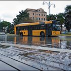 Ogni anno, acqua alta