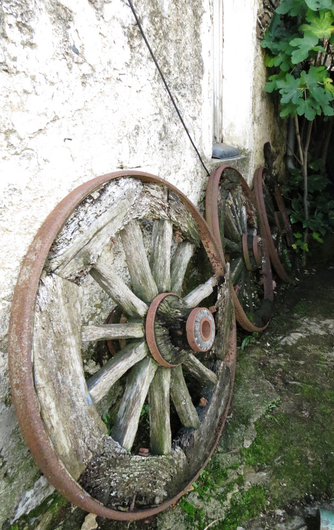 Ogni giro di ruota scandisce il tempo che passa....