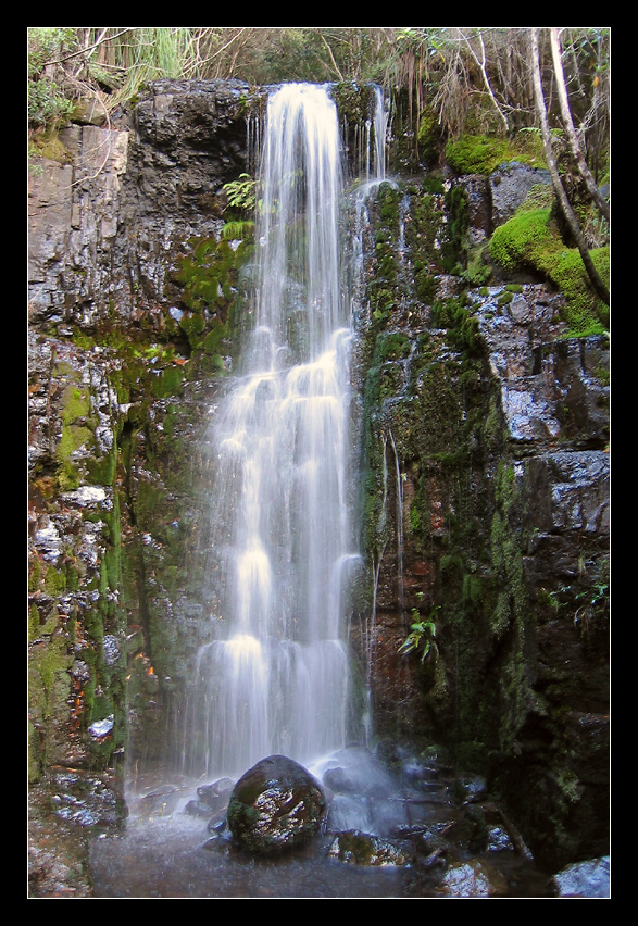 O´Gradys Falls - Wellington Range - Tasmania