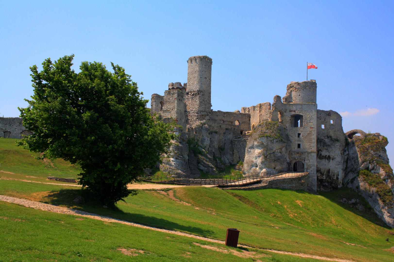 Ogrodzieniec Castle