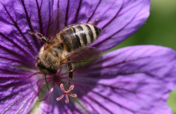 Oh, bitte bleib noch ein wenig