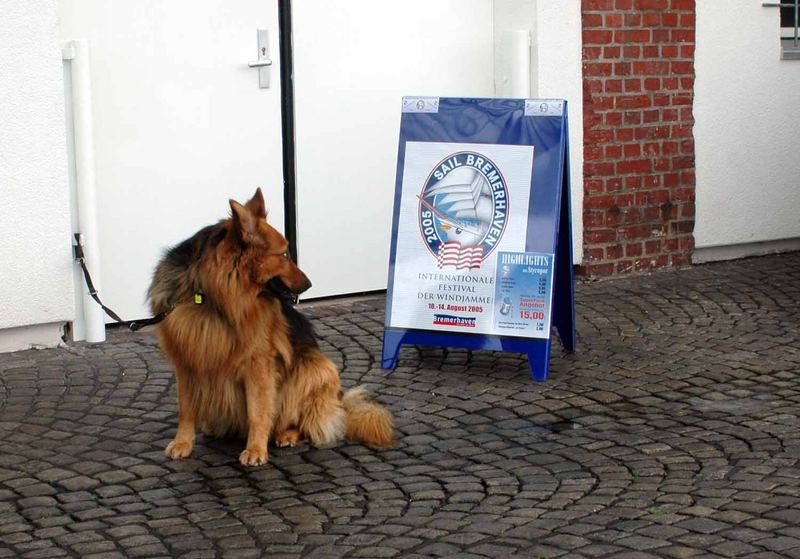 Oh, da möchte ich auch hin, zur Sail.