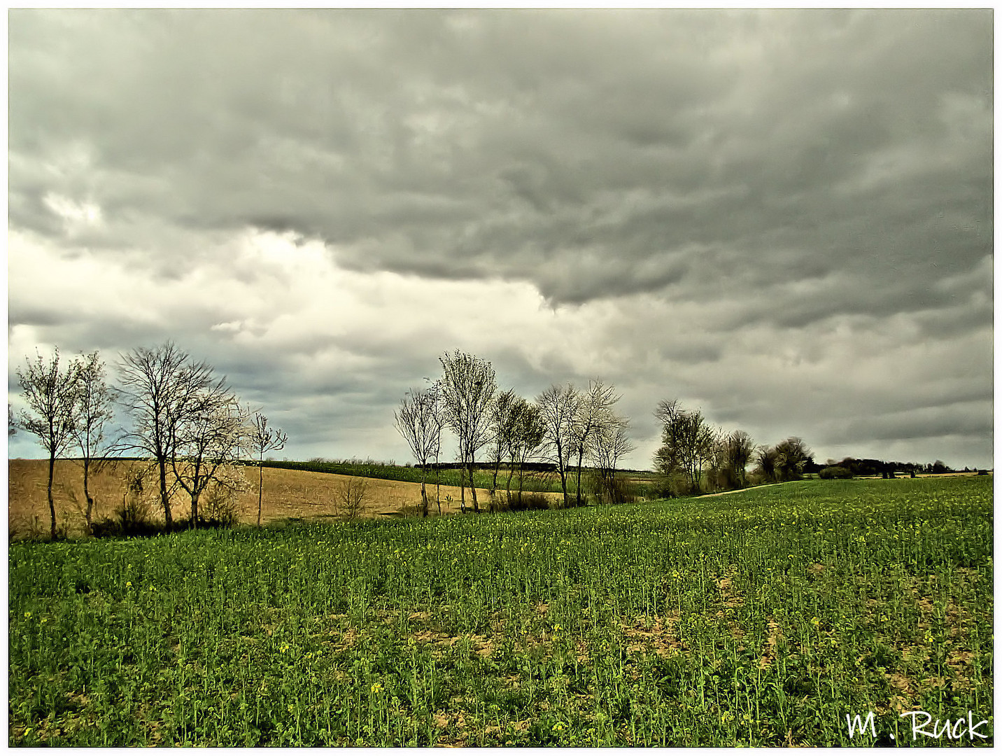 Oh , da zieht ein Wetter auf !