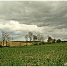 Oh , da zieht ein Wetter auf !