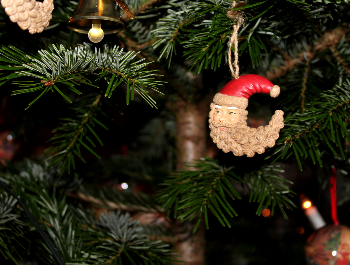 Oh du fröhliche. Foto &amp; Bild | weihnachten, spezial, bäume Bilder
