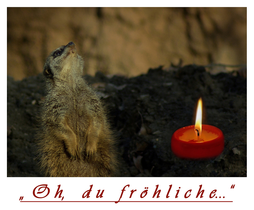 " Oh , du fröhliche..."