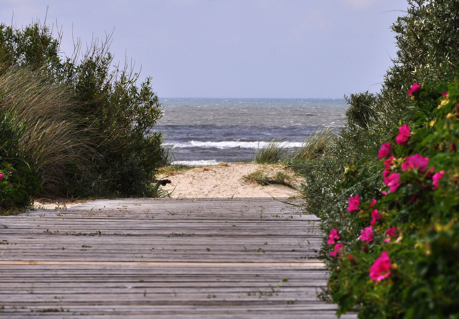 oh du mein Langeoog!