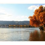 Oh Du schöner farbiger Herbst...