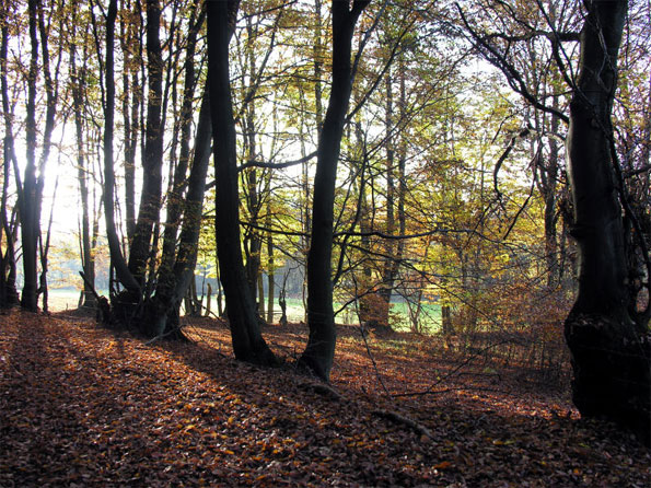 oh Du schöner Westerwald