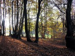 oh Du schöner Westerwald