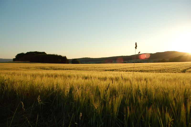 Oh du schöner Westerwald.