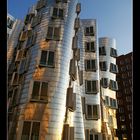 Oh ! Gehry