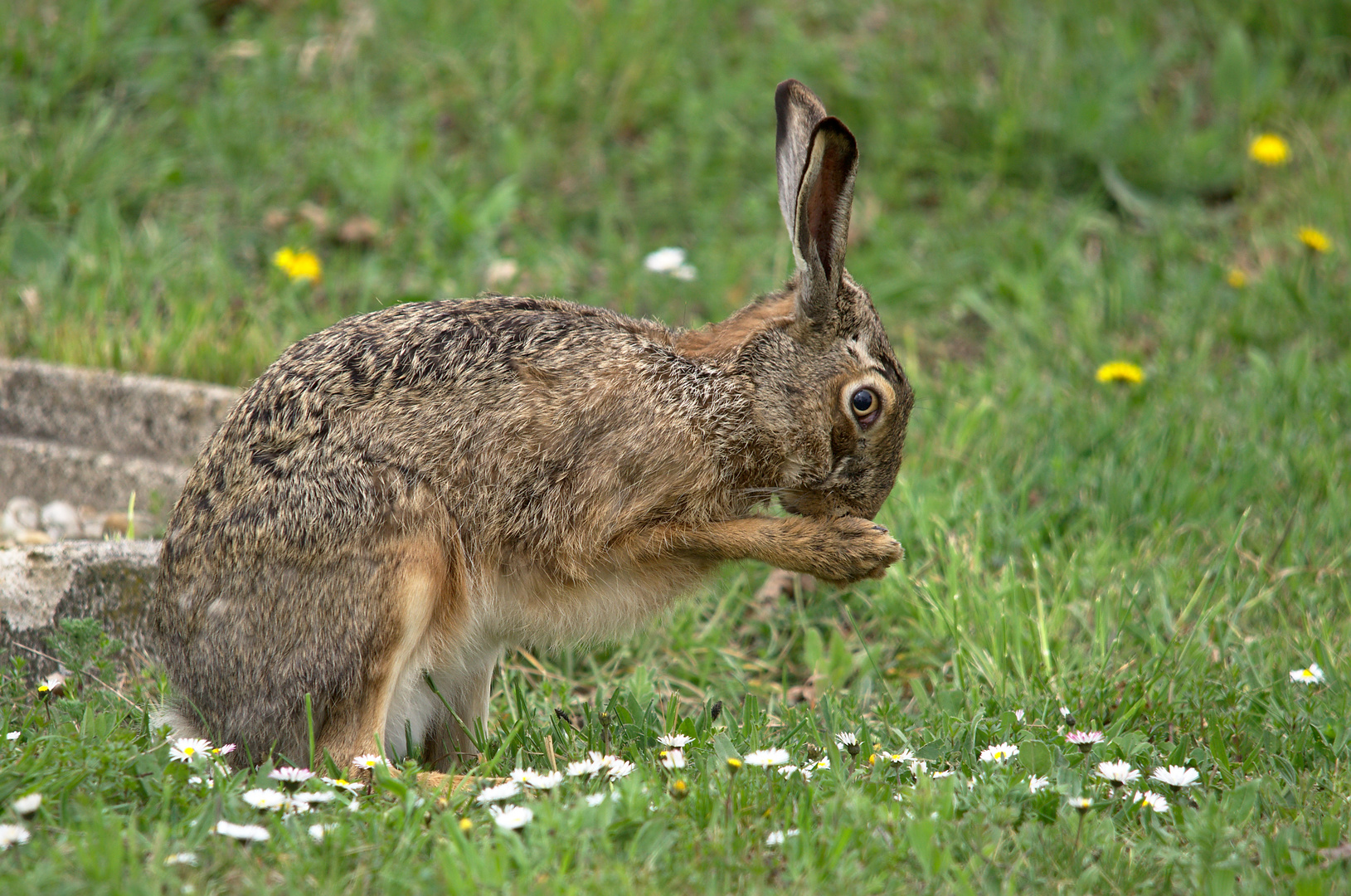 Oh Gott, bald ist schon Ostern!