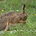 Oh Gott, bald ist schon Ostern!