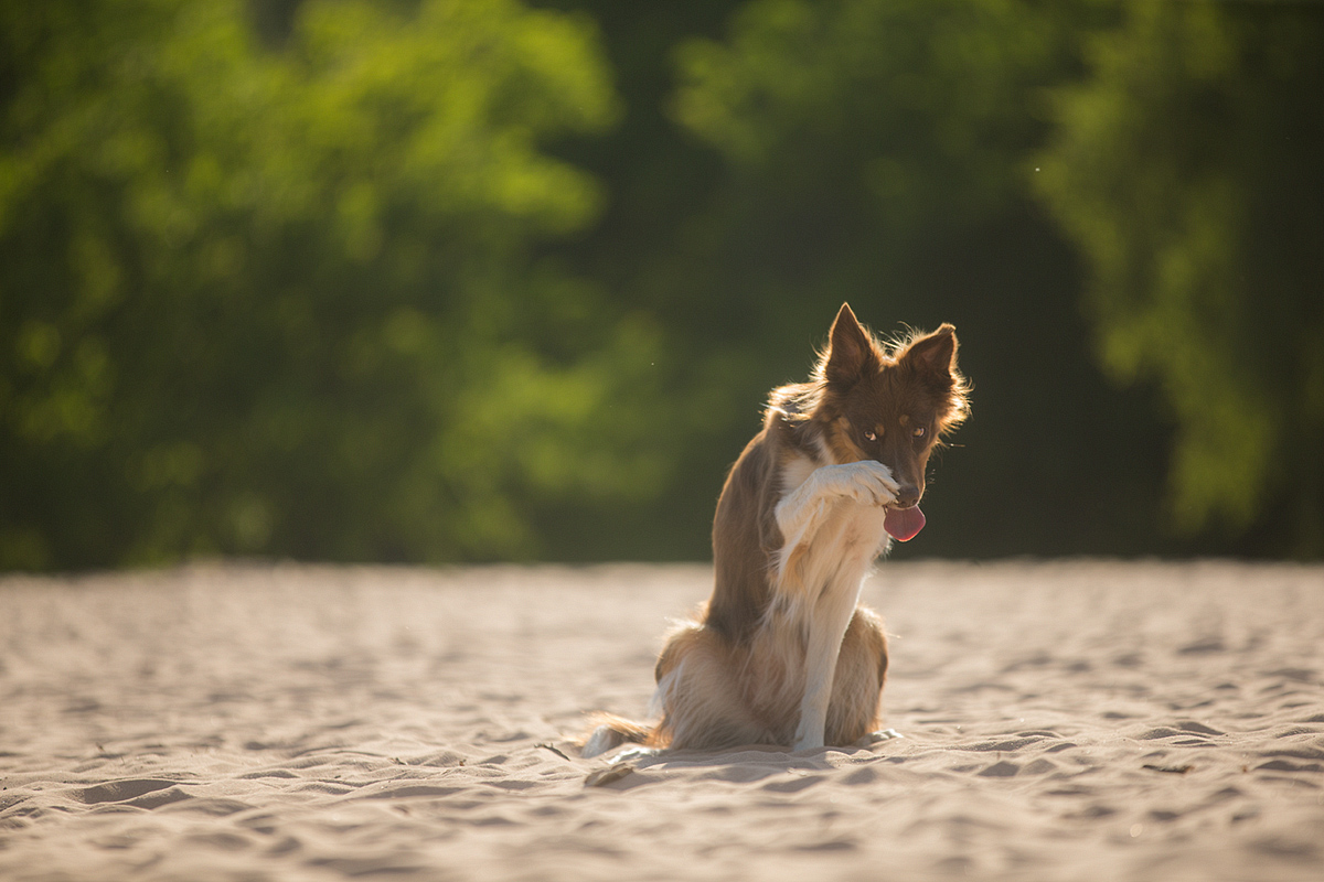 Oh Gott, neee, Montag!!!