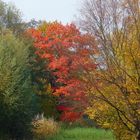 Oh Herbst, wie Du die Blätter färbst