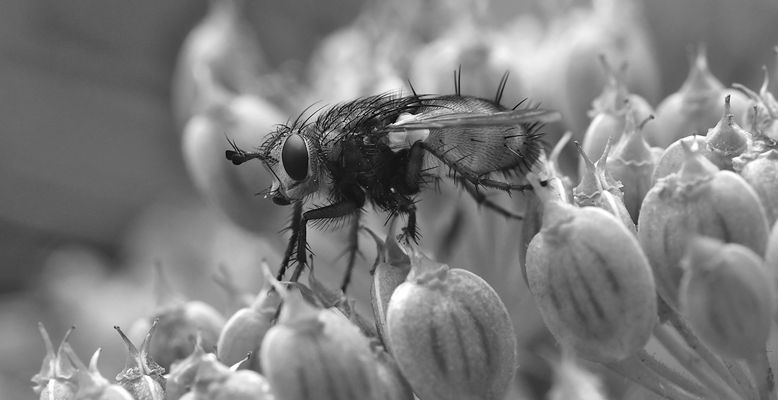 Oh, ist schon wieder Freitag,...