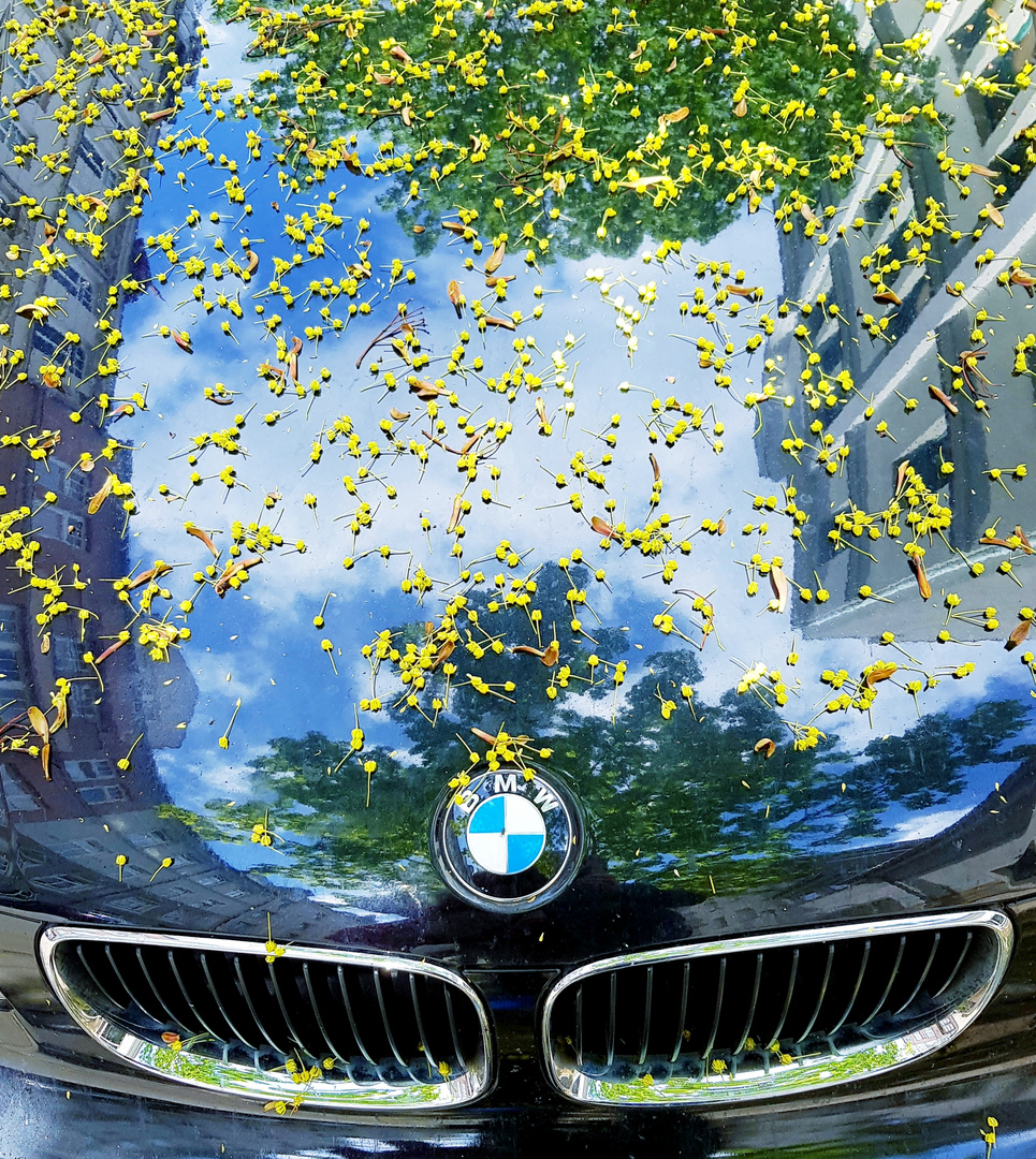 Oh je, mein schöner BMW ...