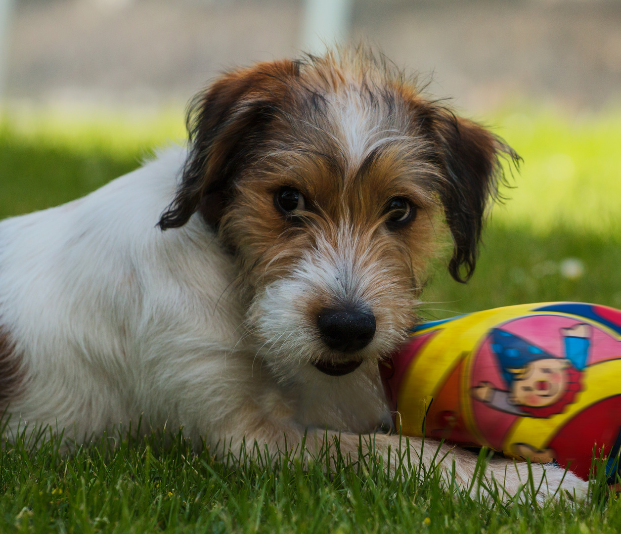 Oh, jetzt ist der Ball kaputt!