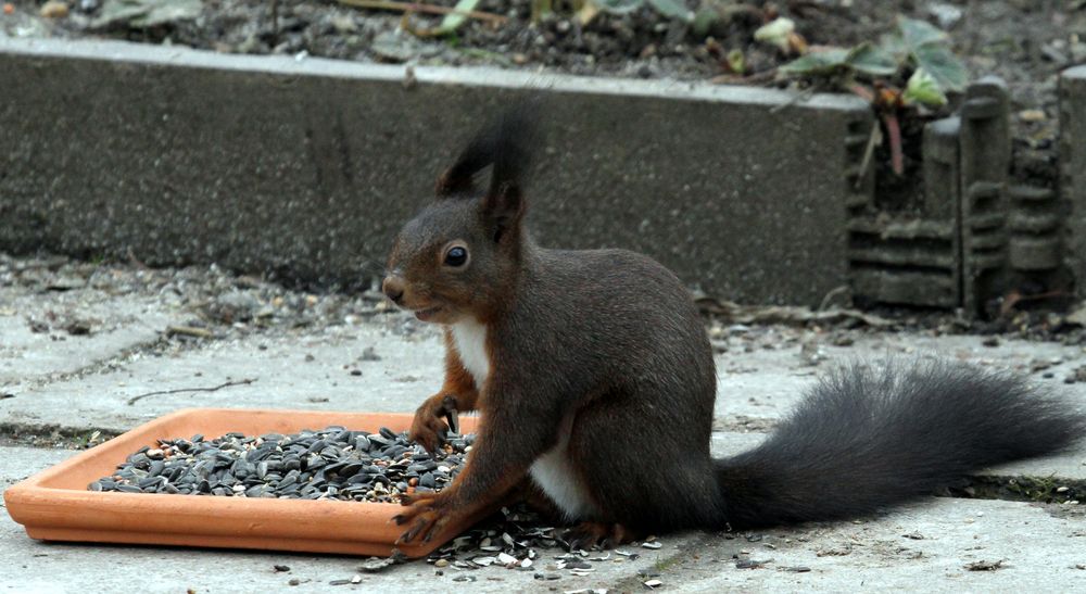 Oh Lecker für mich