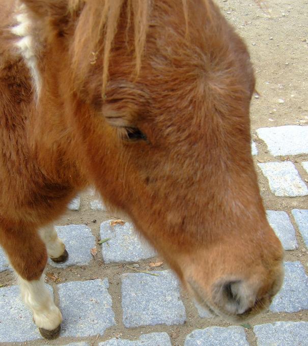 Oh man! Ich bin soo... müde!