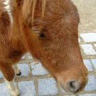 Oh man! Ich bin soo... müde!