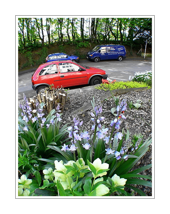 oh my yes... springtime too has reached the garden in front of our Wohnung