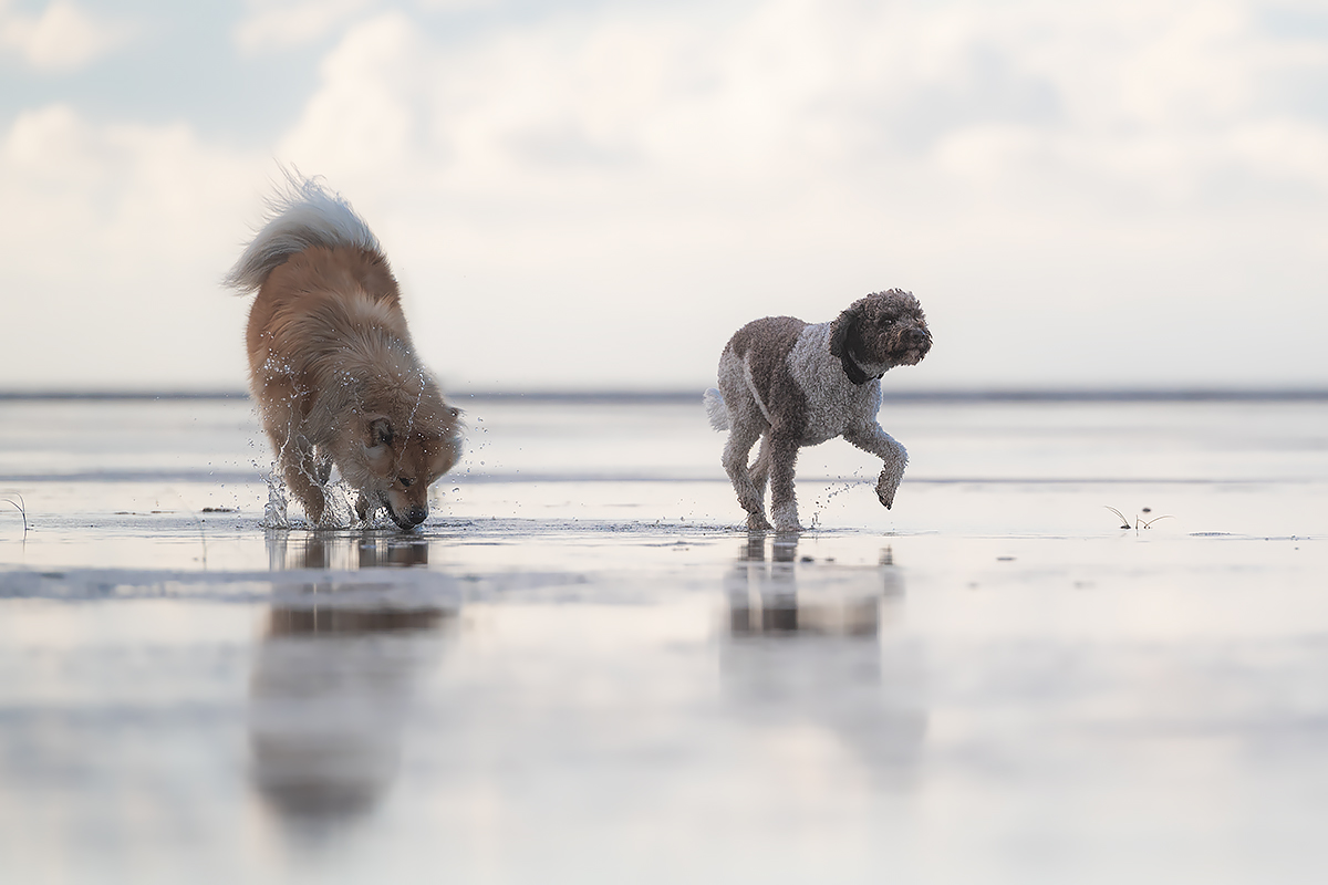 Oh nee, die Verrückte, da schleich ich mich besser!