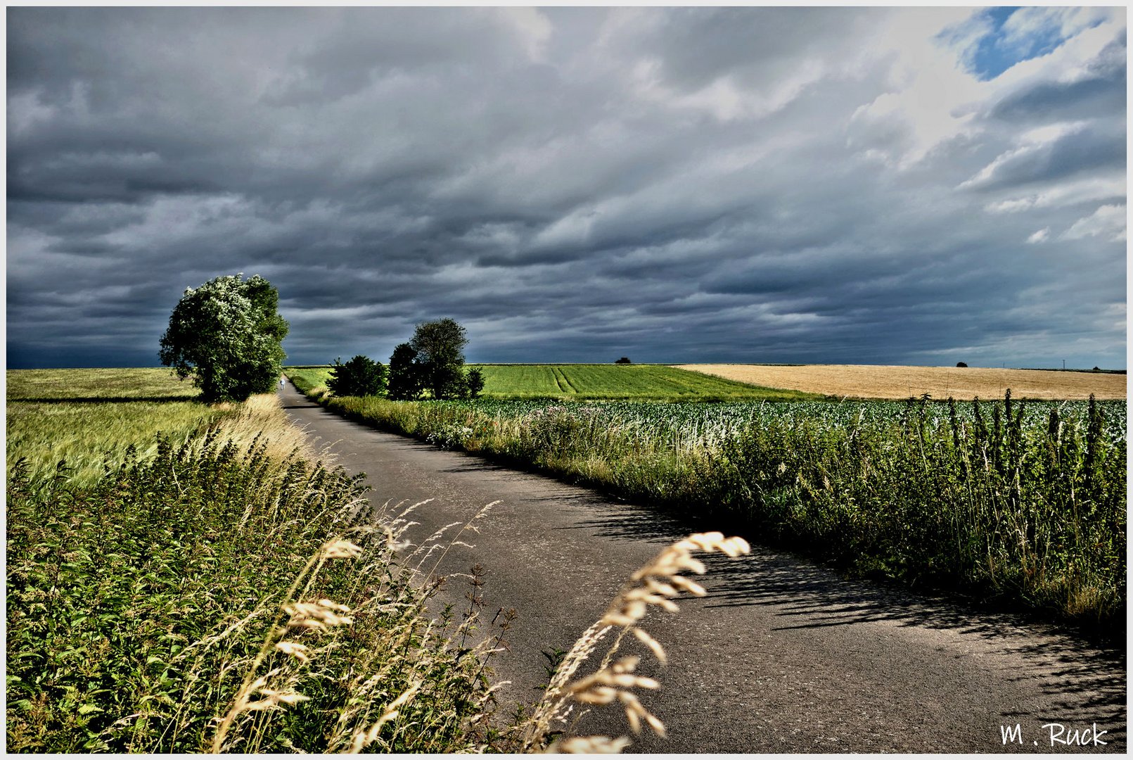 Oh , ob die Wolken den ersehnten Regen bringen  !