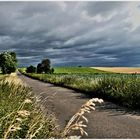 Oh , ob die Wolken den ersehnten Regen bringen  !