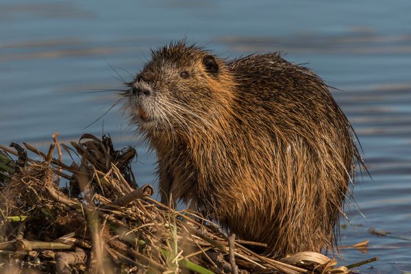 " Oh, schon wieder Montag... "