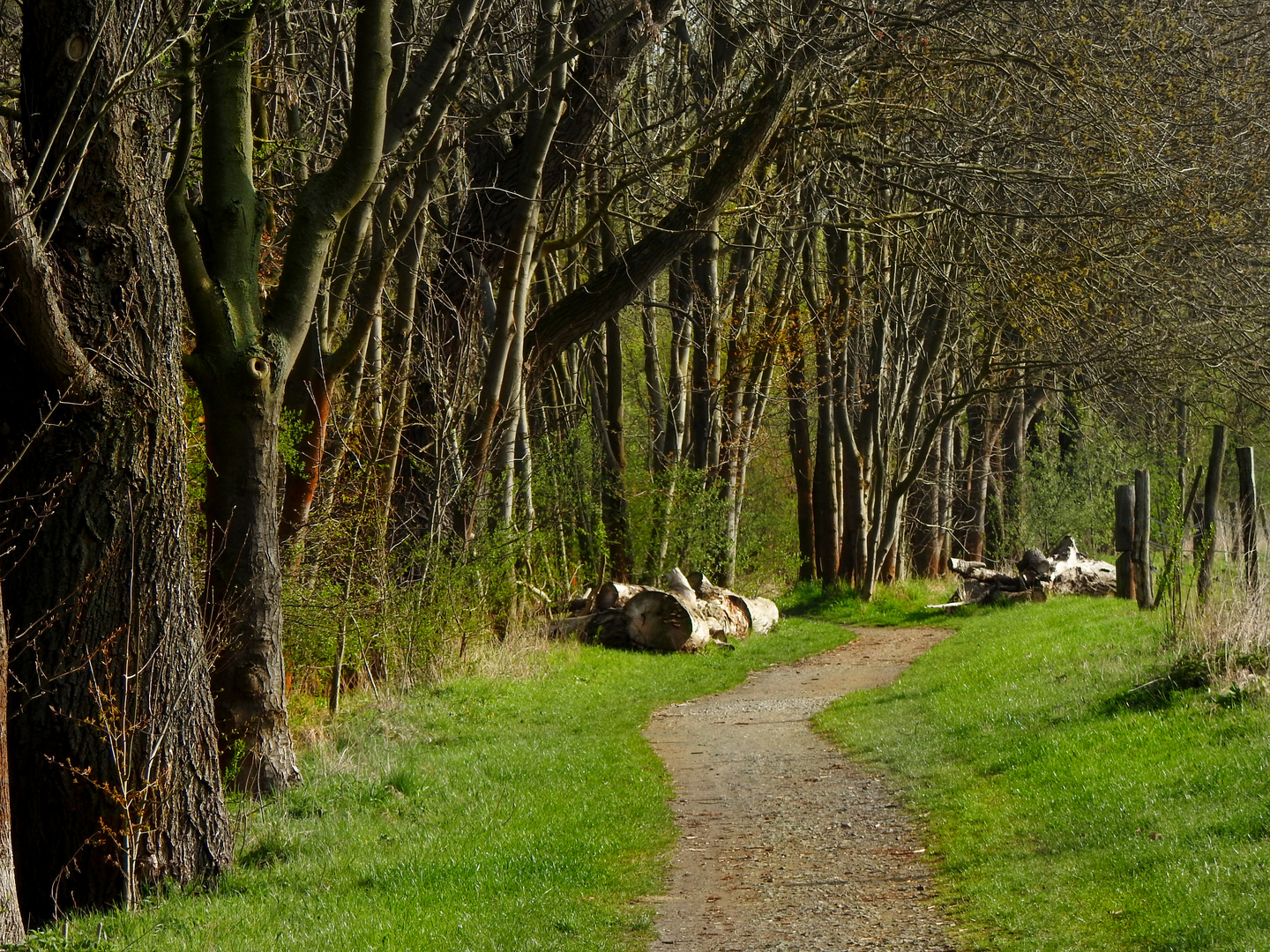 ...oh stört sie nicht, die Stille der Natur...