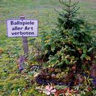 Oh Tannenbaum, der Ball vom Christkind geht wohl kaum