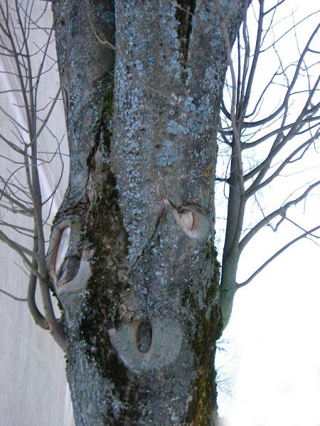 OH, wann kommt endlich der Frühling???