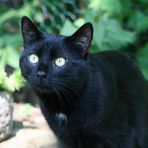 oh, was seh ich denn da...?