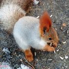 Oh! Wie alles lecker war (lächeln warm)!