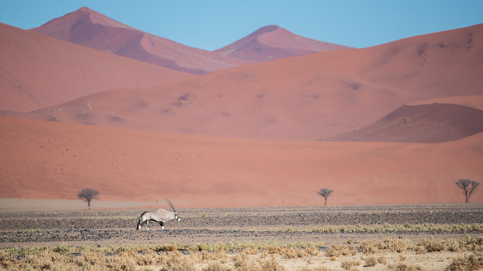 Oh wie schön ist Namibia