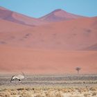 Oh wie schön ist Namibia